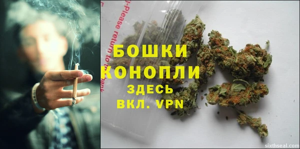 ПСИЛОЦИБИНОВЫЕ ГРИБЫ Кукмор