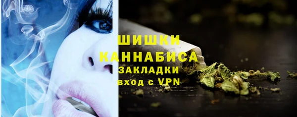 ПСИЛОЦИБИНОВЫЕ ГРИБЫ Кукмор