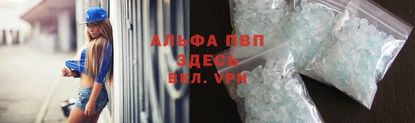 ПСИЛОЦИБИНОВЫЕ ГРИБЫ Кукмор