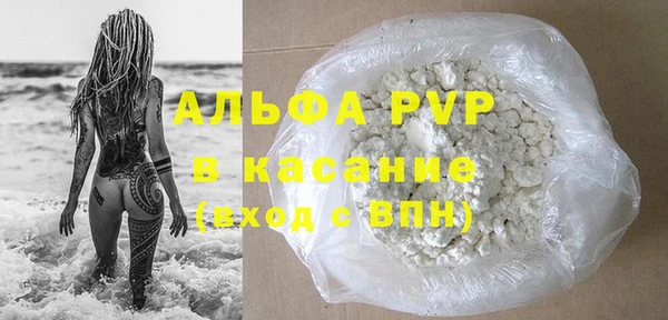 ПСИЛОЦИБИНОВЫЕ ГРИБЫ Кукмор