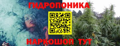 крисы Ливны
