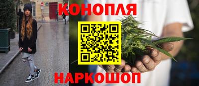 крисы Ливны