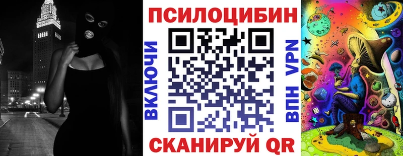 Купить где  Калач-на-Дону  Галлюциногенные грибы Psilocybe 