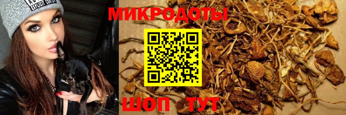 хочу   Вход с VPN  Калач-на-Дону  Псилоцибиновые грибы Psilocybine cubensis  Псилоцибиновые грибы MAGIC MUSHROOMS 